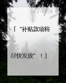 “补贴款项将尽快发放”！