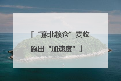 “豫北粮仓”麦收跑出“加速度”
