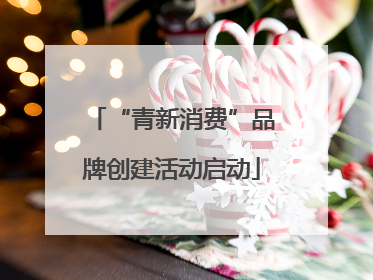 “青新消费”品牌创建活动启动