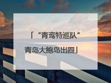 “青鸾特巡队”青岛大鲍岛出圈