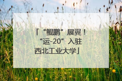 “鲲鹏”展翼！“运-20”入驻西北工业大学