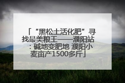 “黑松土活化肥”寻找最美粮王——濮阳站：碱地变肥地 濮阳小麦亩产1500多斤