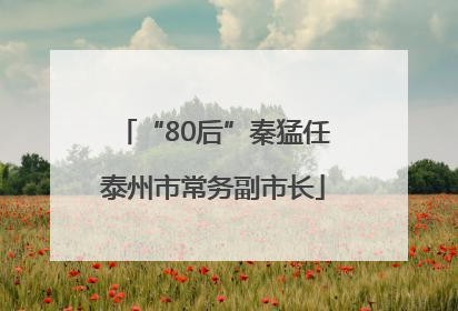 “80后”秦猛任泰州市常务副市长