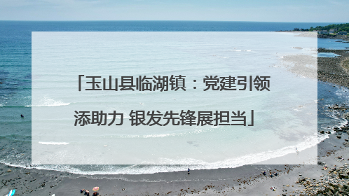 玉山县临湖镇：党建引领添助力 银发先锋展担当