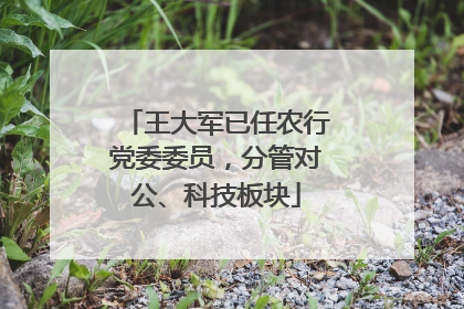王大军已任农行党委委员，分管对公、科技板块