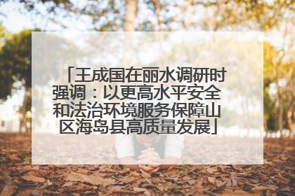 王成国在丽水调研时强调：以更高水平安全和法治环境服务保障山区海岛县高质量发展