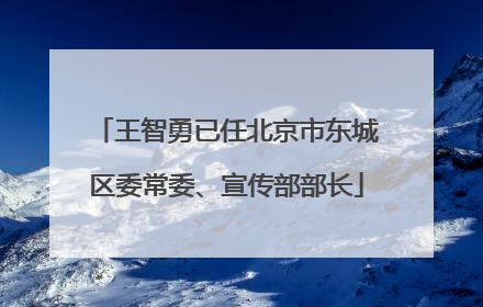 王智勇已任北京市东城区委常委、宣传部部长