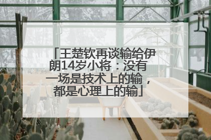 王楚钦再谈输给伊朗14岁小将：没有一场是技术上的输，都是心理上的输