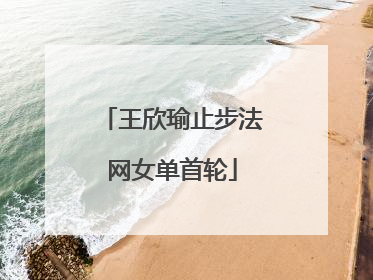 王欣瑜止步法网女单首轮