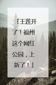 王莲开了！福州这个网红公园，上新了！