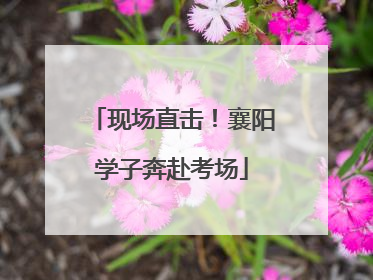 现场直击！襄阳学子奔赴考场
