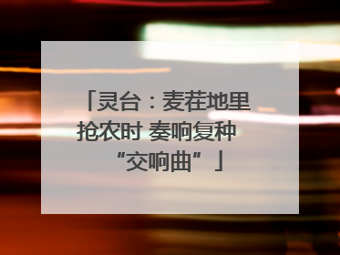 灵台：麦茬地里抢农时 奏响复种“交响曲”