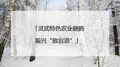 灵武特色农业翻腾振兴“致富浪”