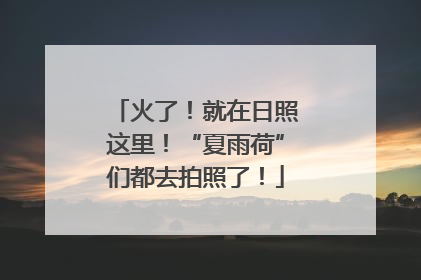 火了！就在日照这里！“夏雨荷”们都去拍照了！