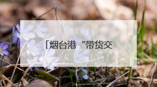 烟台港“带货交付”！出口船装载中国车驶往非洲