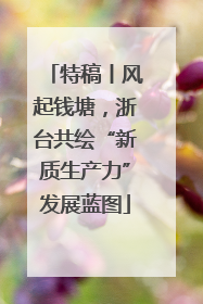 特稿丨风起钱塘，浙台共绘“新质生产力”发展蓝图