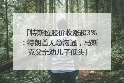特斯拉股价收涨超3%：特朗普无意沟通，马斯克父亲劝儿子低头