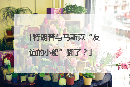 特朗普与马斯克“友谊的小船”翻了？
