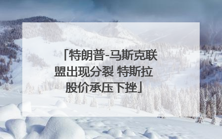 特朗普-马斯克联盟出现分裂 特斯拉股价承压下挫