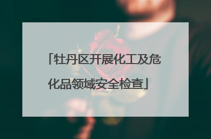 牡丹区开展化工及危化品领域安全检查