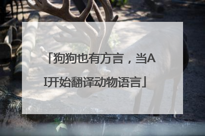 狗狗也有方言，当AI开始翻译动物语言