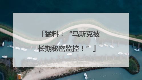 猛料：“马斯克被长期秘密监控！”