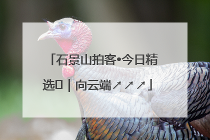 石景山拍客•今日精选⑳｜向云端↗↗↗
