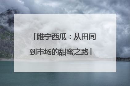 睢宁西瓜：从田间到市场的甜蜜之路