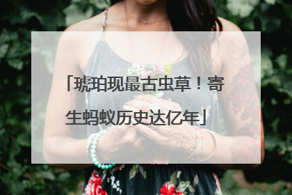 琥珀现最古虫草！寄生蚂蚁历史达亿年