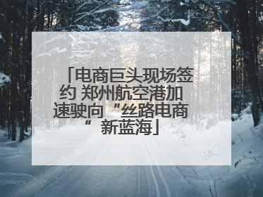 电商巨头现场签约 郑州航空港加速驶向“丝路电商”新蓝海