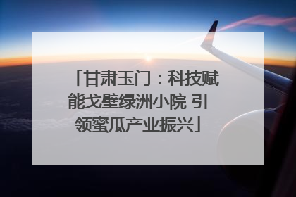 甘肃玉门：科技赋能戈壁绿洲小院 引领蜜瓜产业振兴