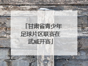 甘肃省青少年足球片区联赛在武威开赛