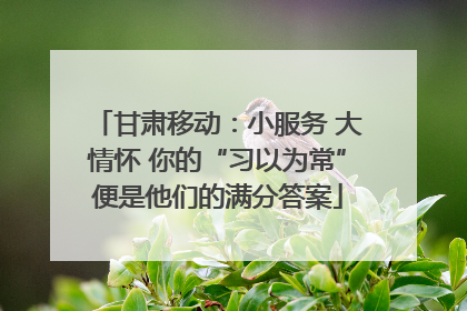 甘肃移动：小服务 大情怀 你的“习以为常”便是他们的满分答案