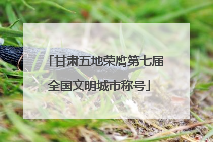 甘肃五地荣膺第七届全国文明城市称号