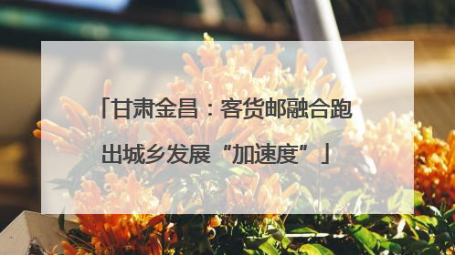 甘肃金昌：客货邮融合跑出城乡发展“加速度”