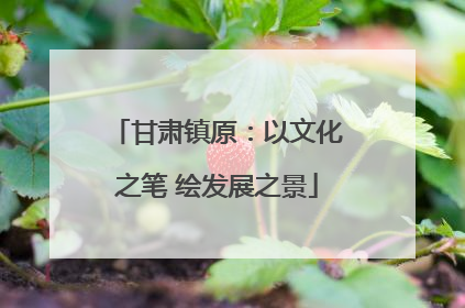 甘肃镇原：以文化之笔 绘发展之景