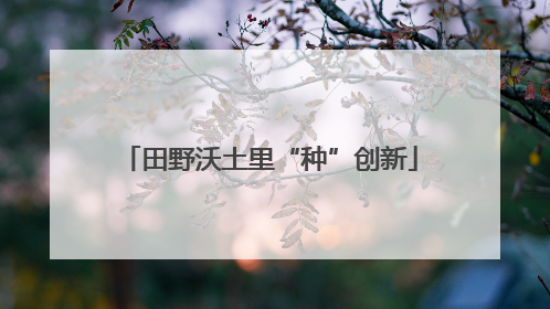 田野沃土里“种”创新