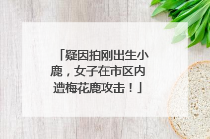 疑因拍刚出生小鹿，女子在市区内遭梅花鹿攻击！