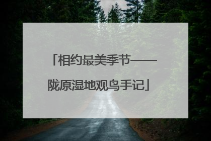 相约最美季节——陇原湿地观鸟手记