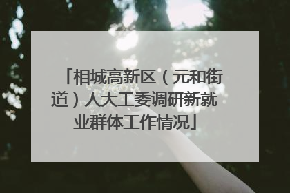 相城高新区（元和街道）人大工委调研新就业群体工作情况
