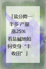盐分降一半多 产量涨25% 看盐碱地如何变身“丰收田”