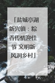 盐城亭湖新兴镇：粽香传情迎佳节 文明新风润乡村