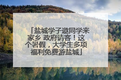 盐城学子邀同学来家乡 政府请客！这个暑假，大学生多项福利免费游盐城