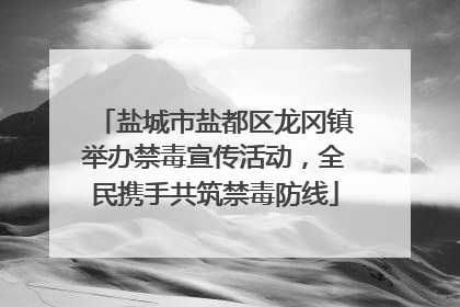 盐城市盐都区龙冈镇举办禁毒宣传活动，全民携手共筑禁毒防线
