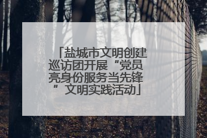 盐城市文明创建巡访团开展“党员亮身份服务当先锋”文明实践活动