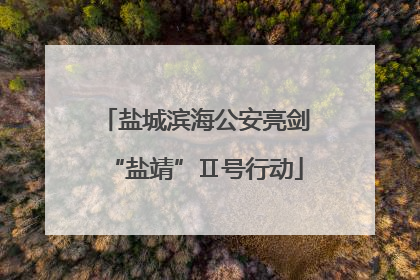 盐城滨海公安亮剑“盐靖”Ⅱ号行动