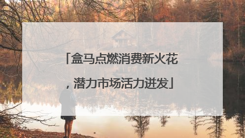 盒马点燃消费新火花，潜力市场活力迸发