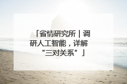 省情研究所｜调研人工智能，详解“三对关系”
