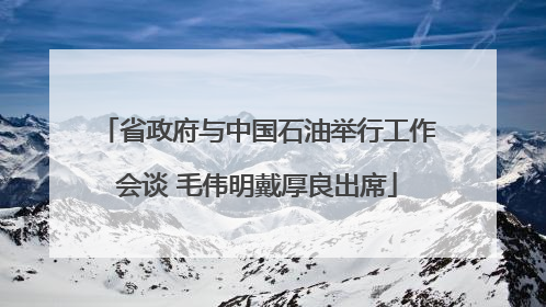 省政府与中国石油举行工作会谈 毛伟明戴厚良出席