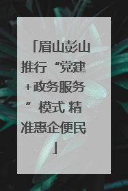 眉山彭山推行“党建+政务服务”模式 精准惠企便民